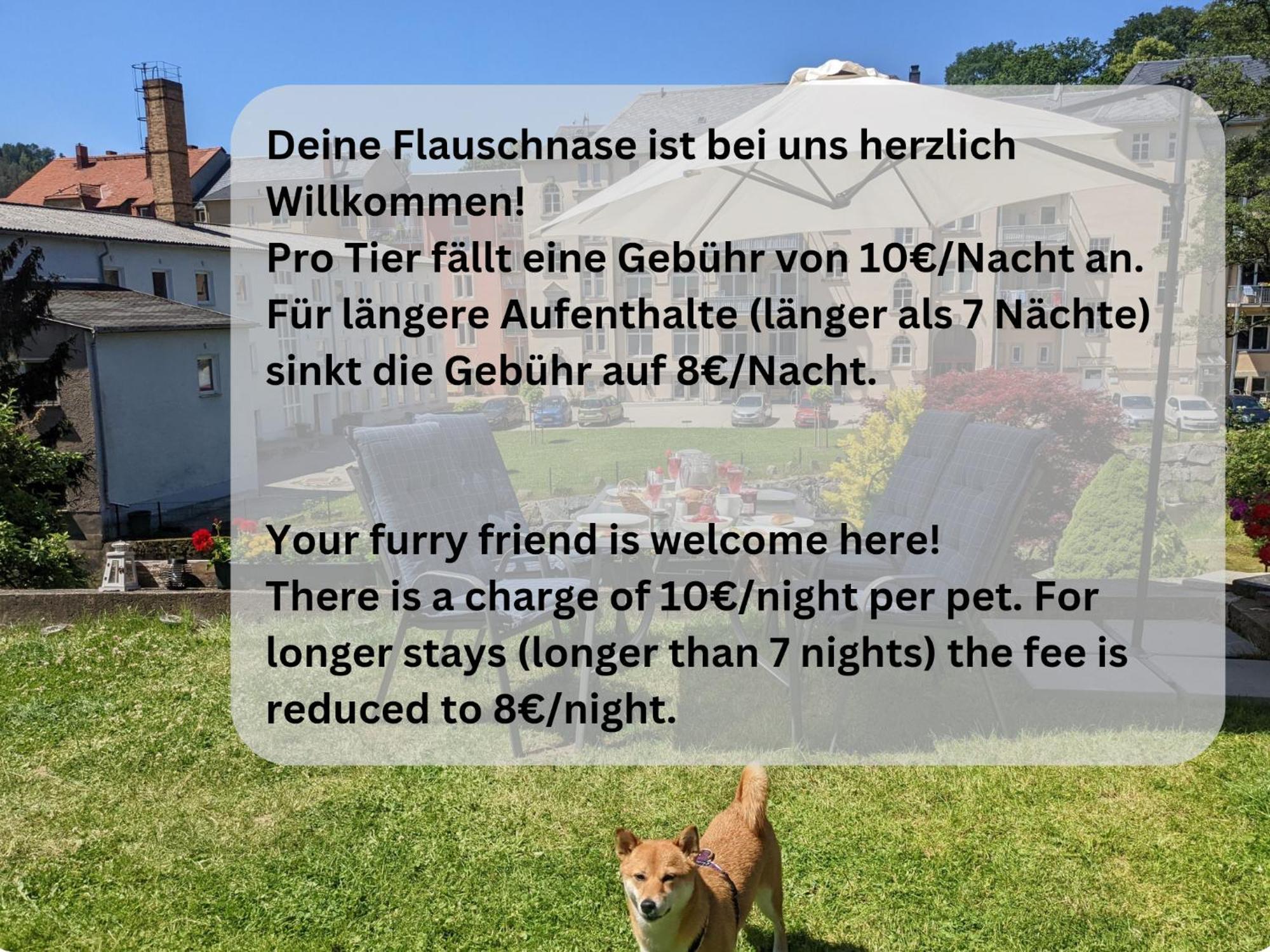 F1 - Urlaubsmagie - Helle Wohnung Mit Sauna & Pool & Whirlpool زبنيتس المظهر الخارجي الصورة